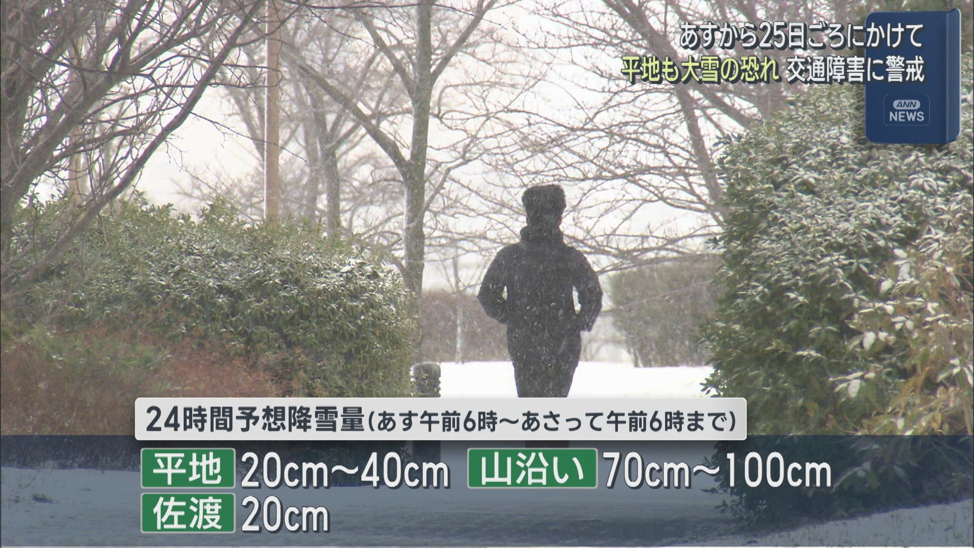 25日(日)ごろにかけて平地でも大雪の恐れ、交通障害に注意･警戒を【新潟】 2026年01月20日(火)