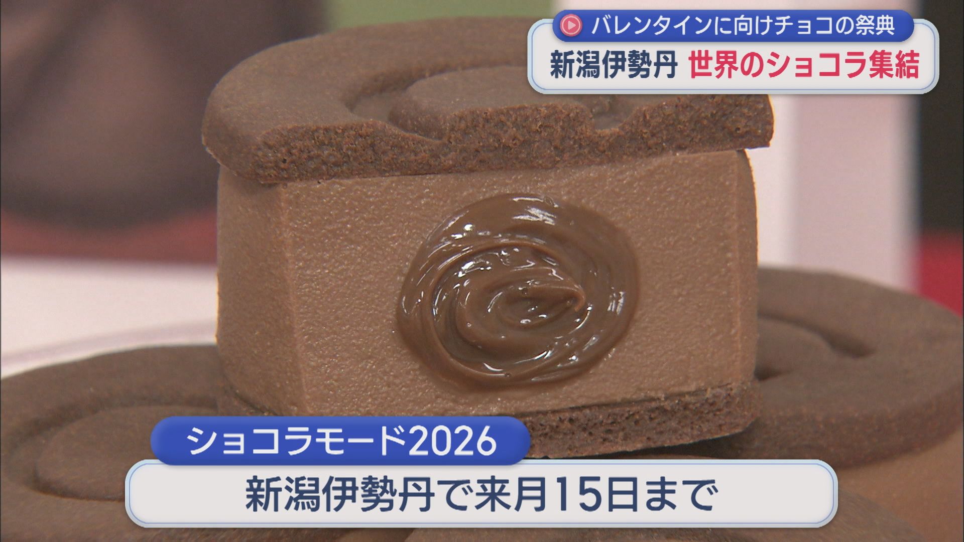 世界のショコラが集結 県内初出店の店舗も！バレンタインに向けチョコの祭典【新潟】 2026年01月22日(木)
