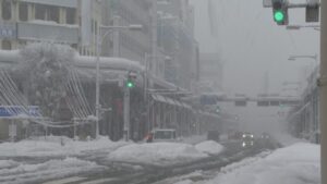 【大雪警戒】今シーズン初の長岡市で積雪1mに、25日まで大雪に注意・警戒【新潟】 2026年01月24日(土)