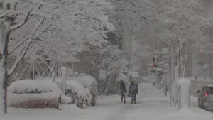上越市・長岡市も積雪1m超…　新潟県内の平地で雪が強まる　25日も交通障害などに警戒を【新潟・24日午後6時】 2026年01月24日(土)