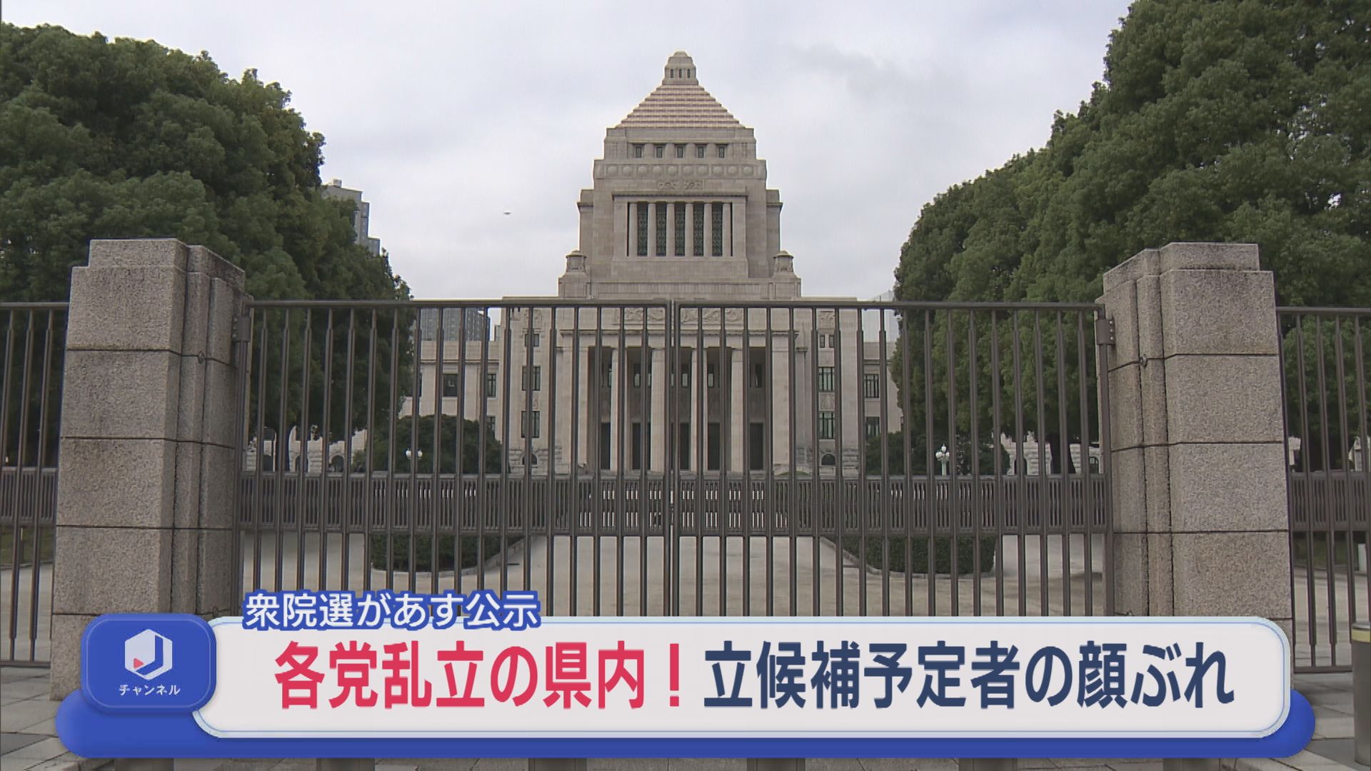 【衆院選｜新潟1区】過去最多5人が出馬予定、各党乱立の県内！他選挙区の顔ぶれも紹介【新潟】 2026年01月26日(月)