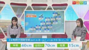 28日夜から再び大雪に、29日は警報級となる可能性【気象予報士が解説｜新潟】 2026年01月28日(水)