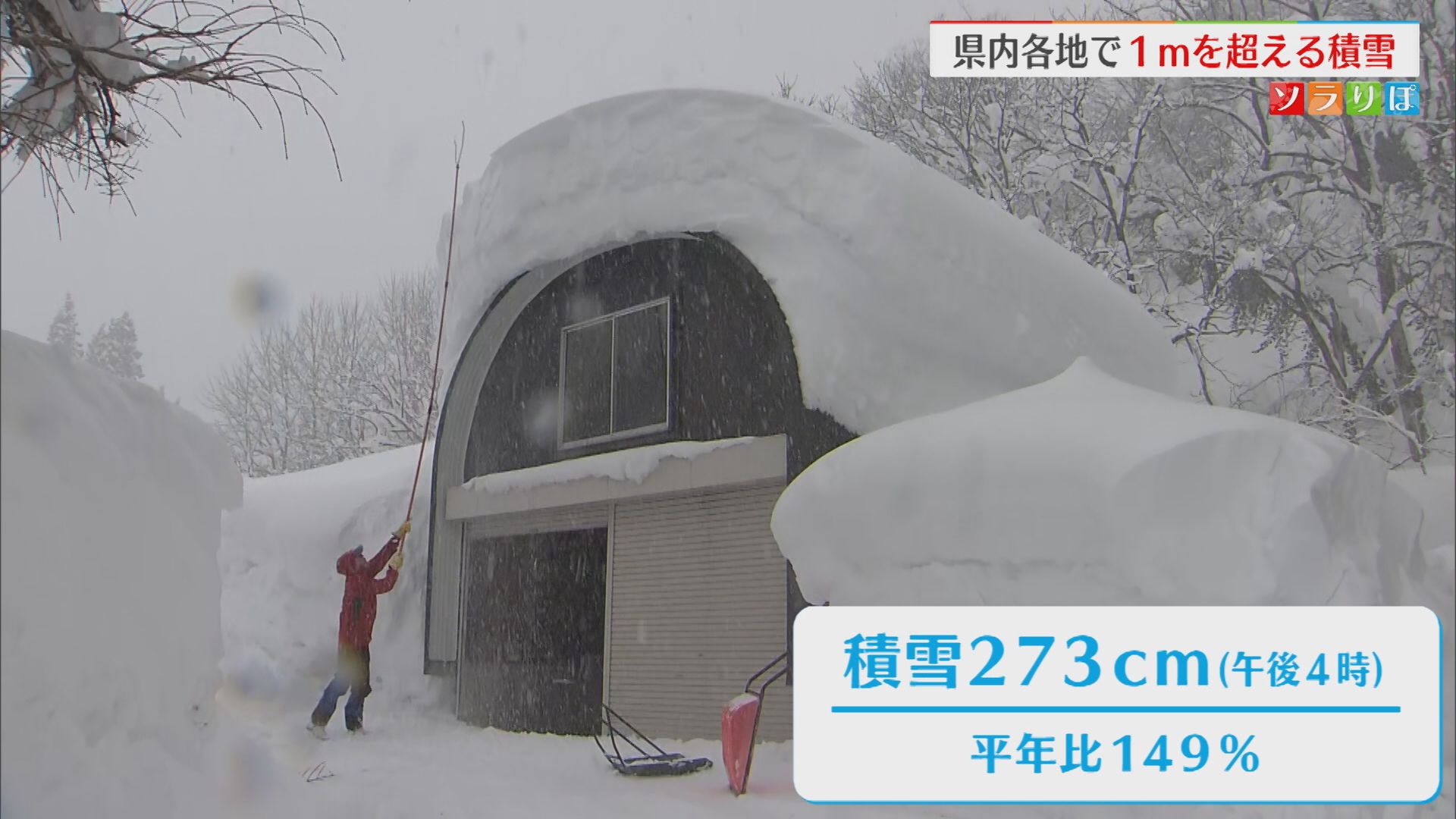 魚沼市守門273cm 平年と比べ約1.5倍の積雪に「あんまり続いて大変」雪かきに追われる住民【新潟･上越市】 2026年01月30日(金)
