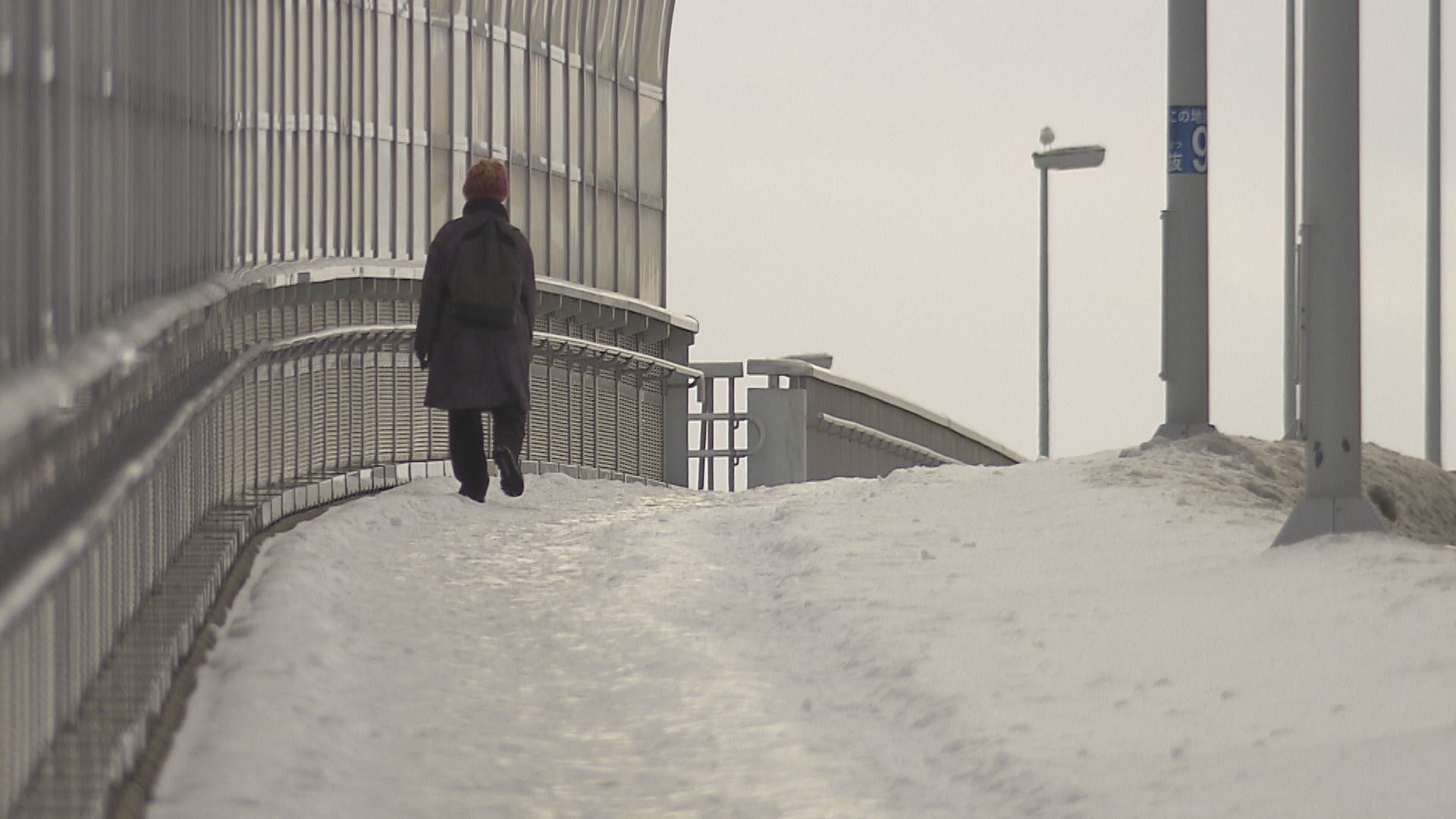 2月1日も山沿い中心に雪が降る見込み   大雪などに注意【新潟】 2026年01月31日(土)