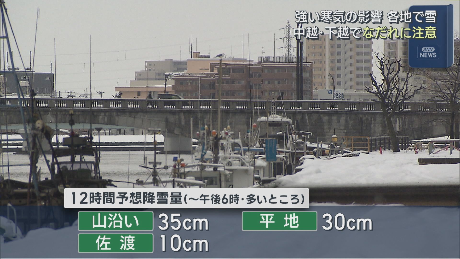 中越･下越でなだれに注意、強い寒気の影響で各地で雪【新潟】 2026年02月02日(月)