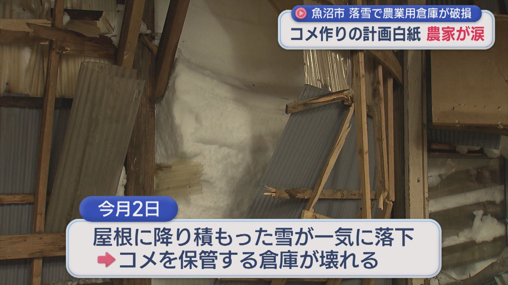 コメ作りの計画「白紙の状態」「大げさでなく死活問題」落雪で農業用倉庫は破損【新潟･魚沼市】 2026年02月05日(木)
