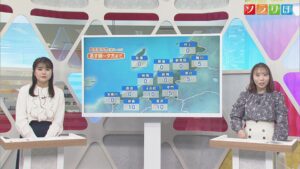 明日は各地で冷たい雨に 強まるところも、今日よりも暖かい服装選びを【気象予報士が解説｜新潟】 2026年02月10日(火)