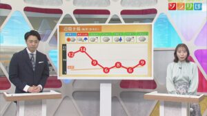 土日はサクラが咲くころの暖かさに、来週は雪の日もありそう【気象予報士が解説｜新潟】 2026年02月13日(金)