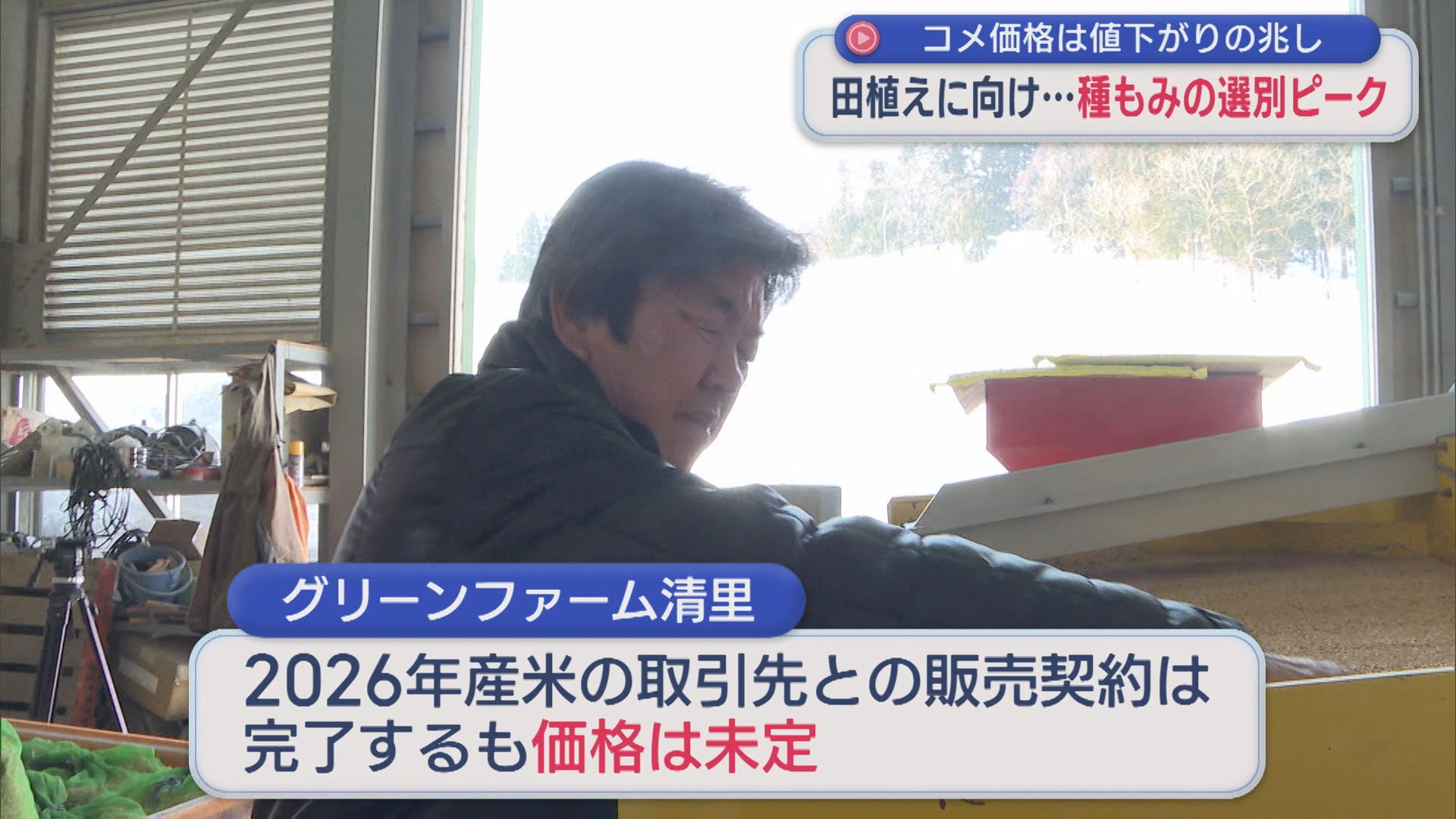 コメ価格は値下がりの兆し、種もみの選別ピークのコメ農家「暴落を懸念」理由は【新潟･上越市】 2026年02月17日(火)