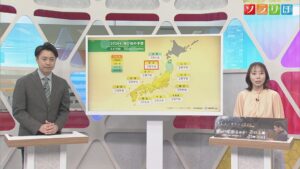 まもなく「花粉シーズン」はじまる、再び「インフルエンザ警報」が発令【気象予報士が解説｜新潟】 2026年02月19日(木)