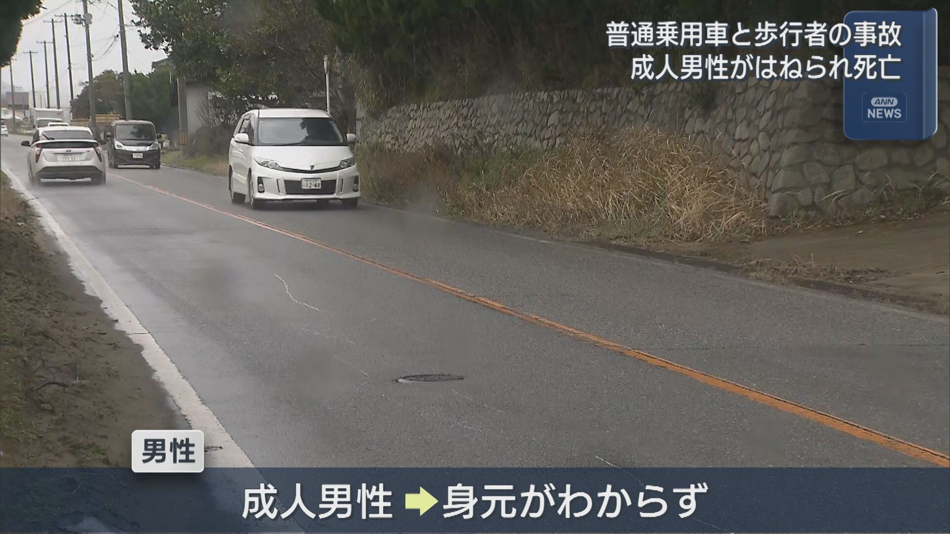 成人男性が車にはねられ死亡「歩行者と接触した」運転手の女性が110番通報【新潟･西区】 2026年02月25日(水)