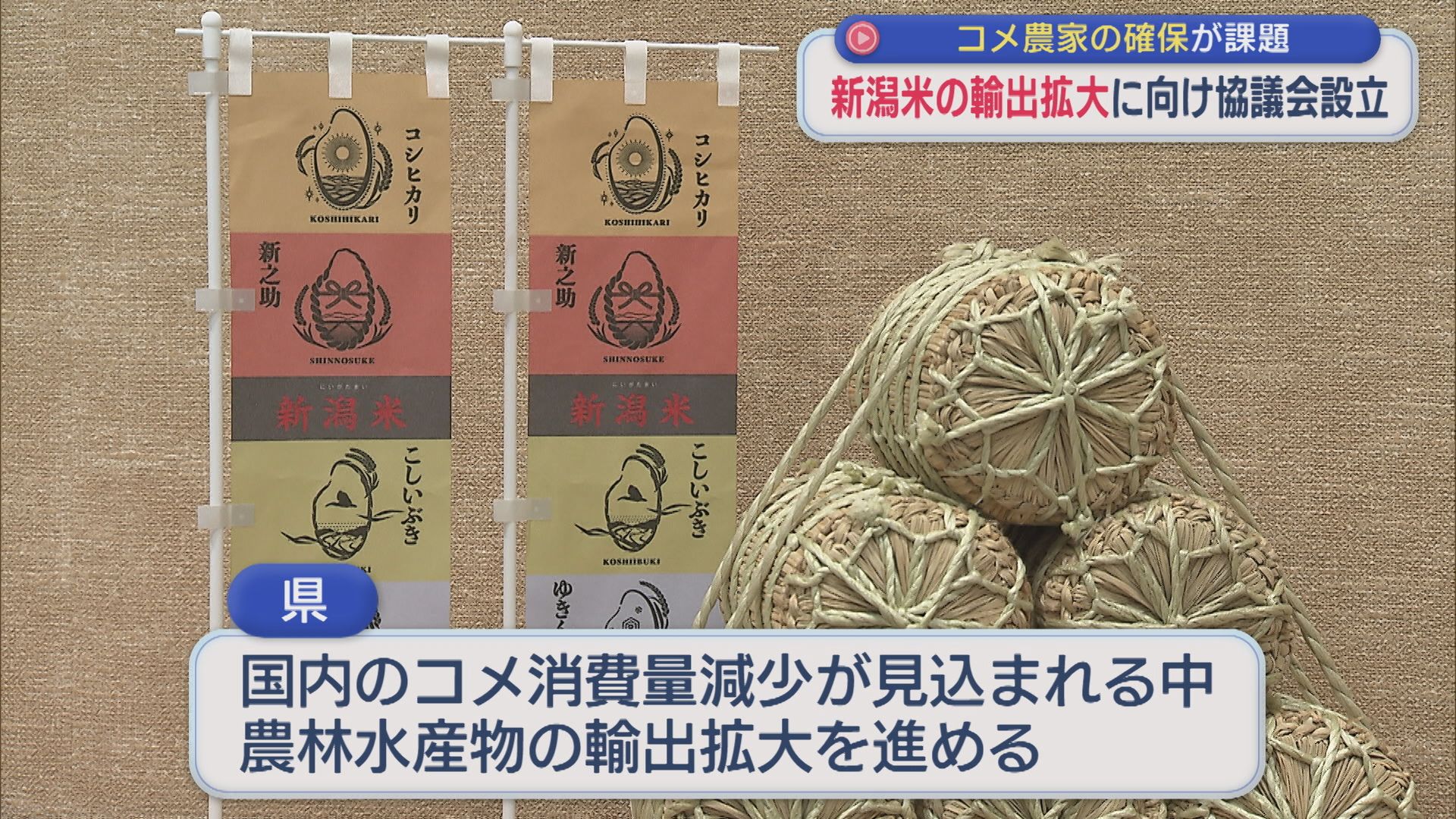 コメ農家の確保が課題「新潟米の輸出拡大」に向け協議会設立【新潟】