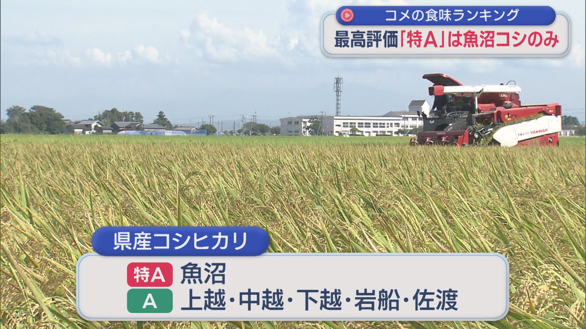 県産コシヒカリでは「魚沼」が8年連続で最高評価「特A」を獲得：コメの食味ランキング【新潟】