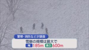 【続報】スキー場で「全層雪崩」か 最大幅185m・長さは600m　現地調査で判明【新潟・妙高市】 2026年03月01日(日)