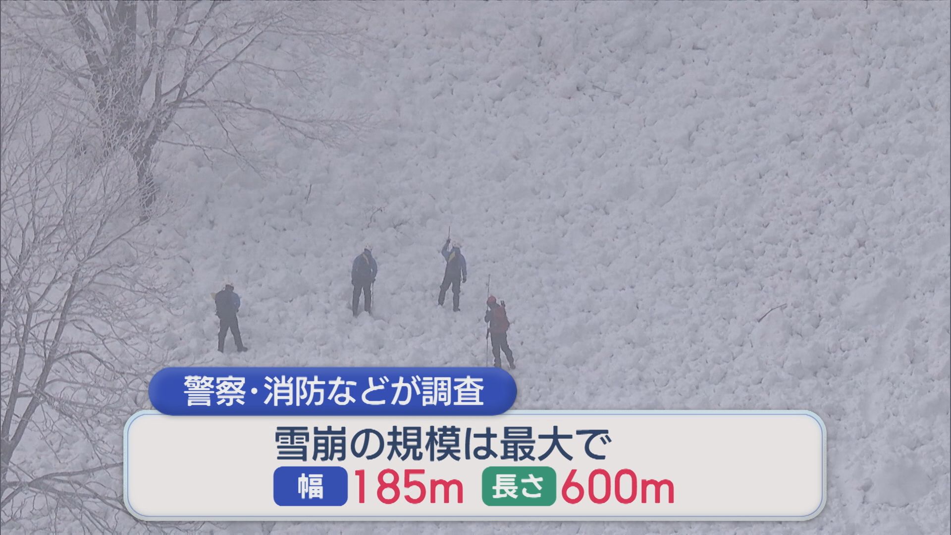 【続報】スキー場で「全層雪崩」か 最大幅185m・長さは600m　現地調査で判明【新潟・妙高市】 2026年03月01日(日)