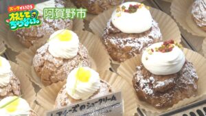 【新潟グルメ】開店前から大行列！1時間で売り切れする話題の「シュークリーム」専門店【阿賀野市】 2026年03月04日(水)