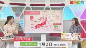 5日は天気回復傾向も･･･寒さ続く、サクラ開花予想も【気象予報士が解説｜新潟】 2026年03月04日(水)