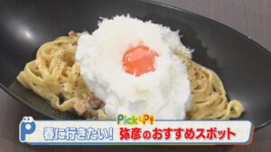 【新潟グルメ】まるで雲が乗っているような ブランド卵を使った「ふわふわ濃厚カルボナーラ」【弥彦村】 2026年03月05日(木)