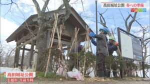 サツキやツツジ・ブロンズ像も 高田城址公園で冬囲いの撤去作業始まる【新潟･上越市】 2026年03月05日(木)