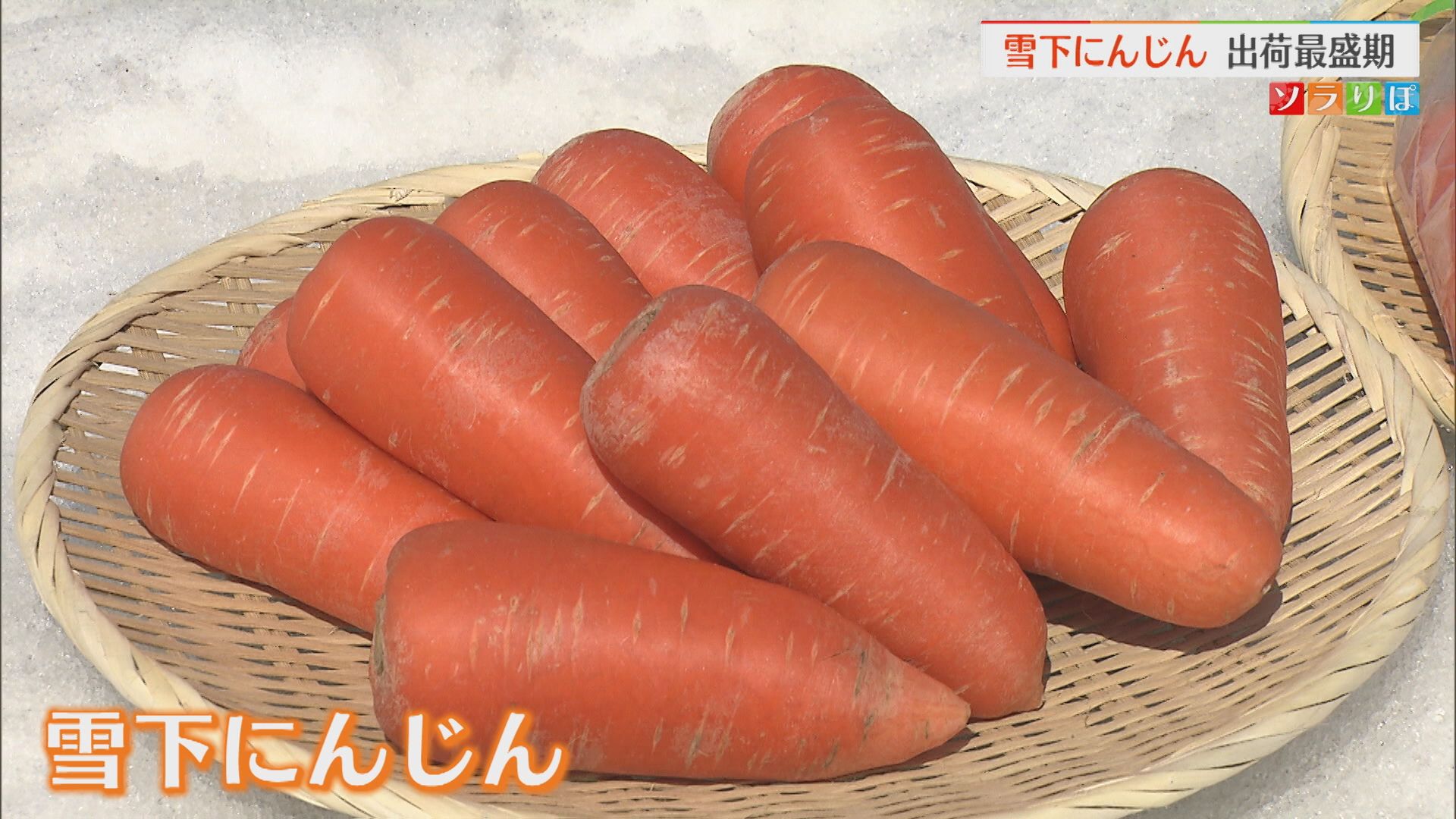 雪の下でじっくり育てた「雪下にんじん」出荷最盛期【新潟】 2026年03月06日(金)
