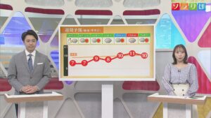 10日は山沿いだけでなく平地でも雪やミゾレに、寒さも増す【気象予報士が解説｜新潟】 2026年03月09日(月)