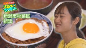 【新潟グルメ】トロトロお肉にトロトロ卵！最強コンビの肉丼【新潟・秋葉区新津】 2026年03月17日(火)