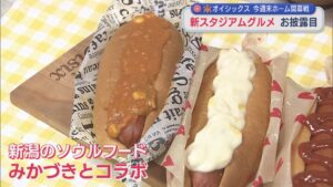 今週末ホーム開幕戦の新潟アルビレックスBC「新スタジアムグルメ」お披露目、目玉はソウルフードとのコラボ【新潟】 2026年03月17日(火)