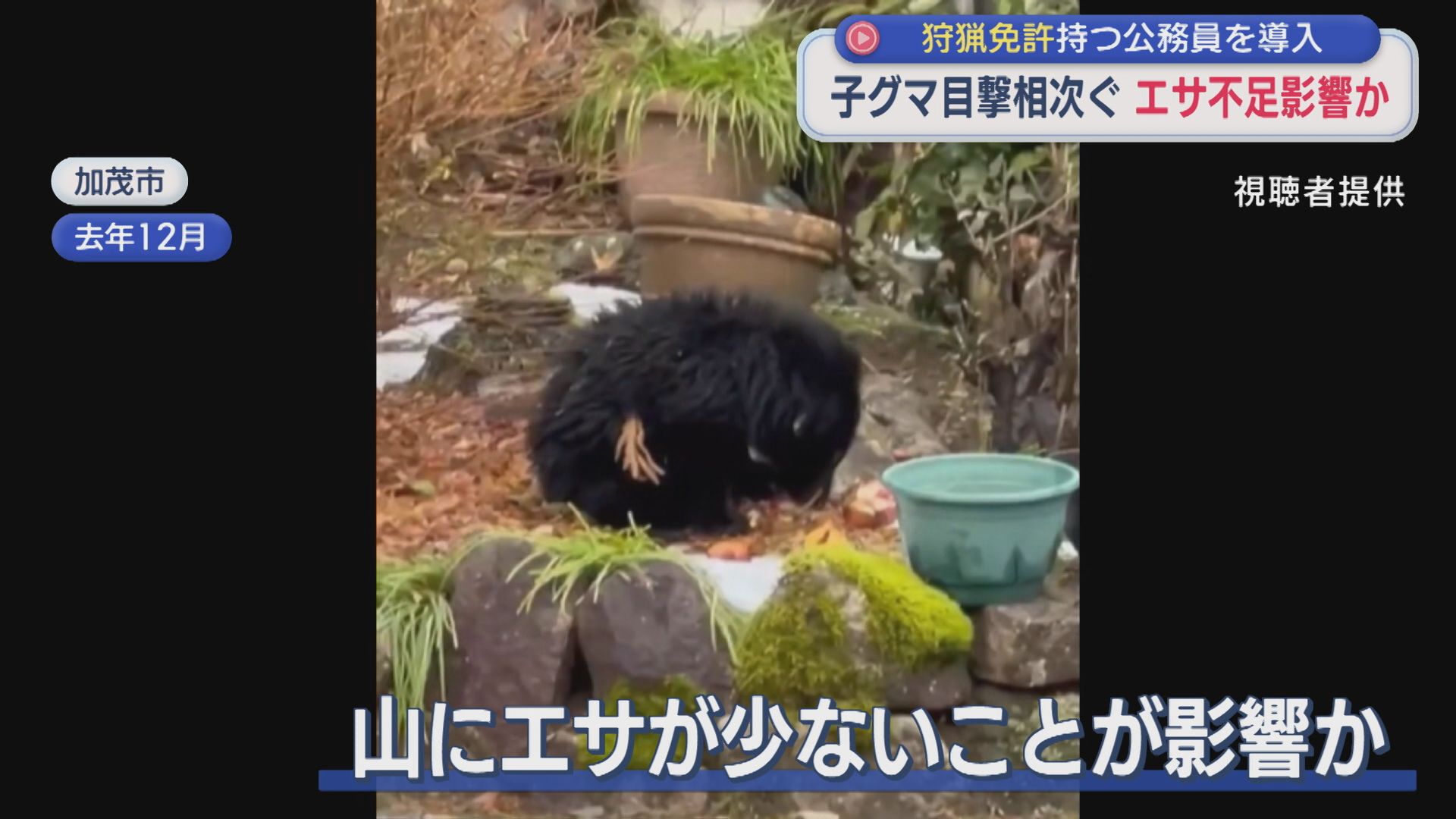 県内で子グマの目撃相次ぐ エサ不足が影響か、狩猟免許持つ公務員を導入【新潟】 2026年03月18日(水)