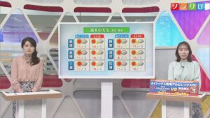 20日は天気が下り坂 午後は風強まる、気になる3連休の天気は？【気象予報士が解説｜新潟】 2026年03月19日(木)