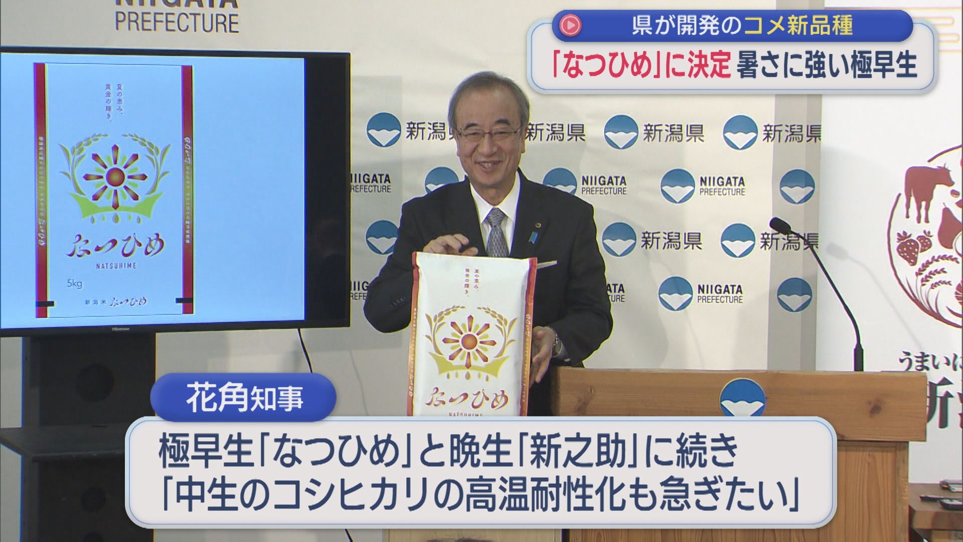 暑さに強い極早生「なつひめ」に決定！県が開発のコメ新品種【新潟】