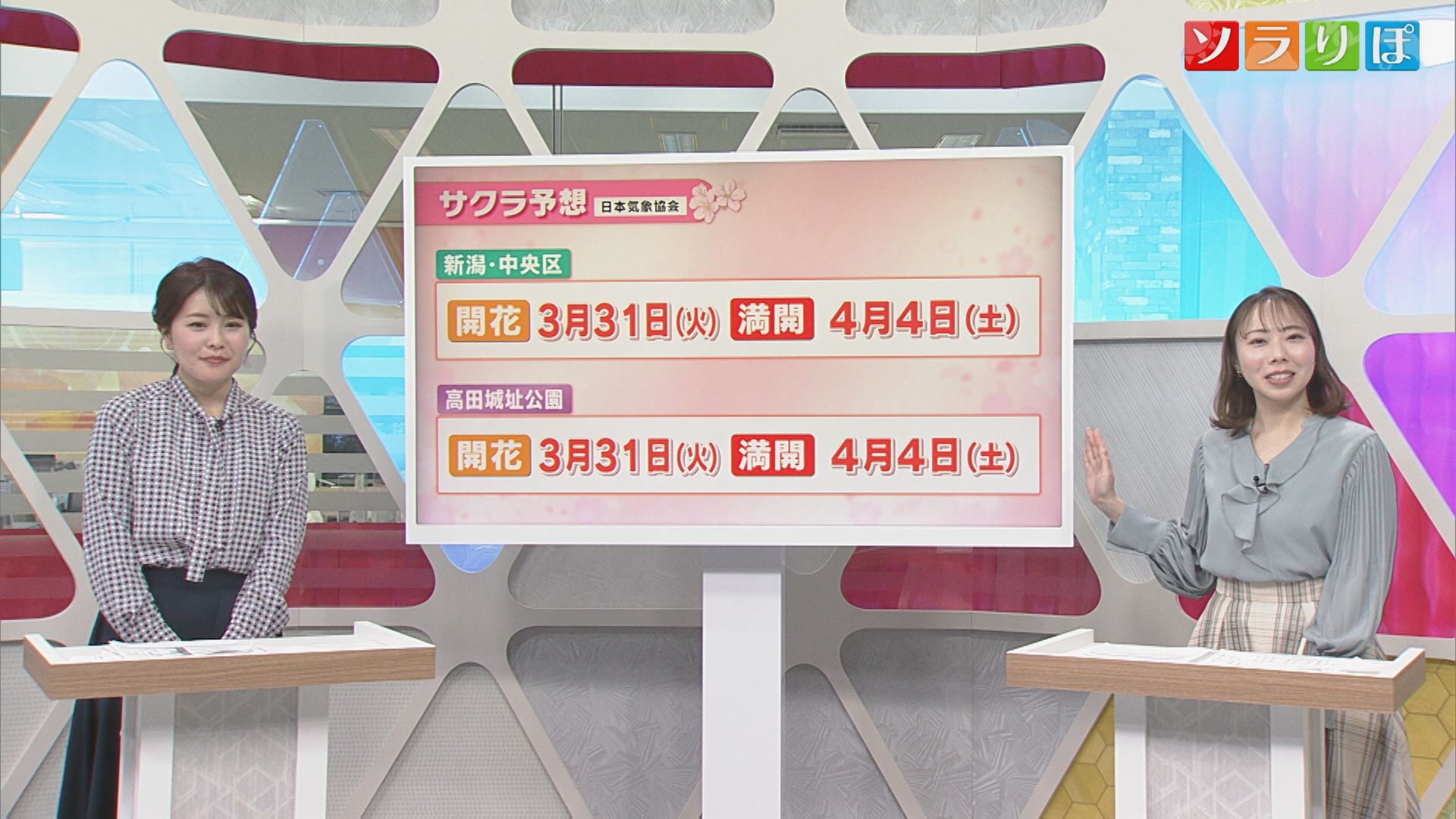 26日は各地で雨、サクラの開花を促す「催花雨」になる？【気象予報士が解説｜新潟】