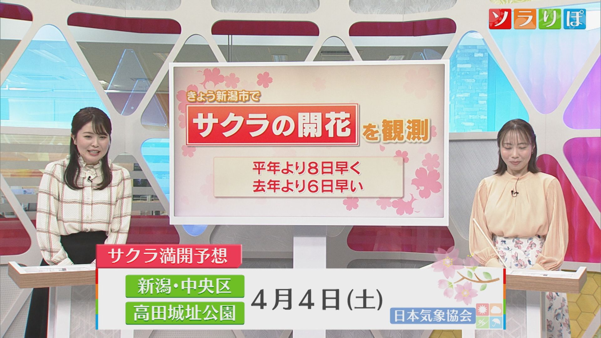 新潟でサクラ開花 平年より8日早く 満開は4月4日予想【気象予報士が解説｜新潟】 2026年03月31日(火)