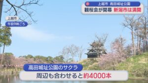 サクラの季節到来！高田城址公園では「観桜会」開幕、新潟市は満開発表【新潟】 2026年04月03日(金)