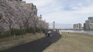 「めちゃくちゃ楽しい！」春の陽気  サクラは満開！ 新潟市の名所  家族連れなどでにぎわう【新潟】 2026年04月05日(日)