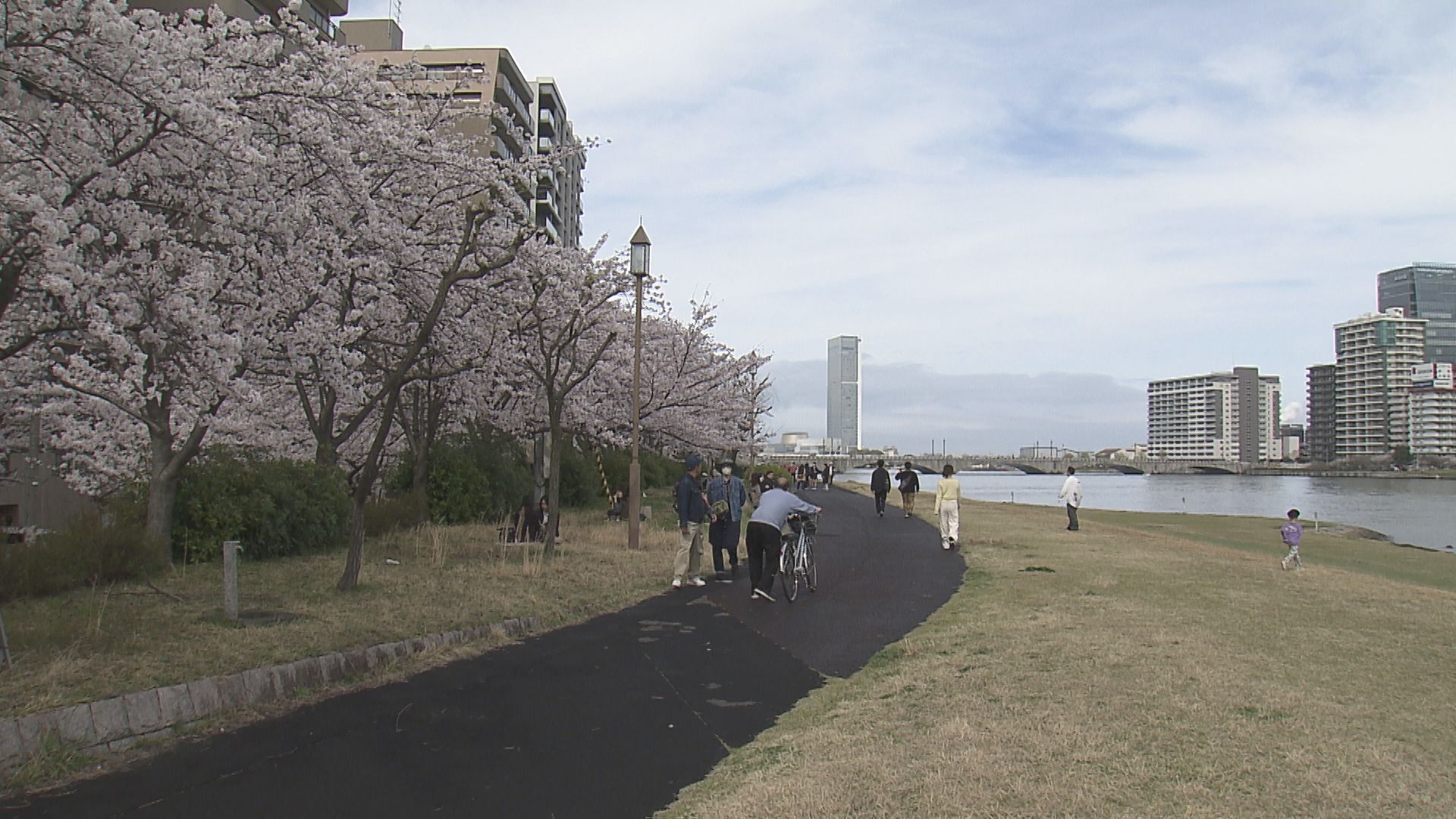 「めちゃくちゃ楽しい！」春の陽気  サクラは満開！ 新潟市の名所  家族連れなどでにぎわう【新潟】