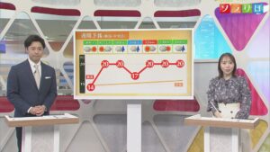 8日は天気回復も空気はヒンヤリ 各地のサクラ開花状況は？【気象予報士が解説｜新潟】 2026年04月07日(火)