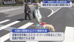 白線の間隔を広げた横断歩道を視覚障がい者が体験、白線の間隔を最大90cmまで拡大可能に【新潟】 2026年04月08日(水)