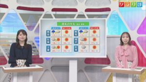 土曜は変わりやすい天気、黄砂が飛来する可能性も【気象予報士が解説｜新潟】 2026年04月10日(金)