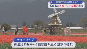 五泉市でチューリップ開花すすむ「じゅうたんみたい」約100万本が色鮮やかに【新潟】 2026年04月13日(月)