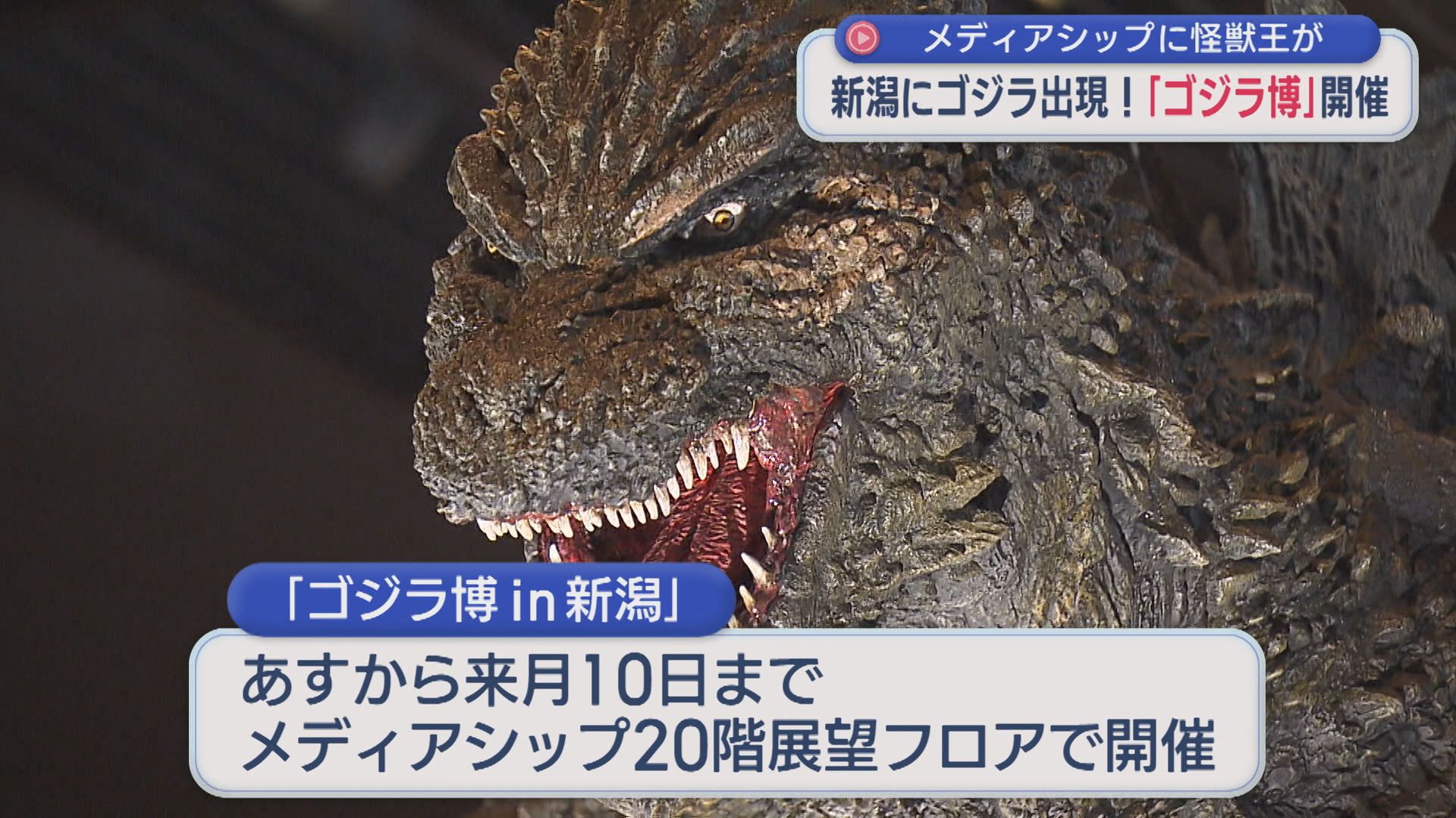 ゴジラが出現！「ゴジラ博」開催、新潟で初登場の怪獣も【新潟】 2026年04月17日(金)