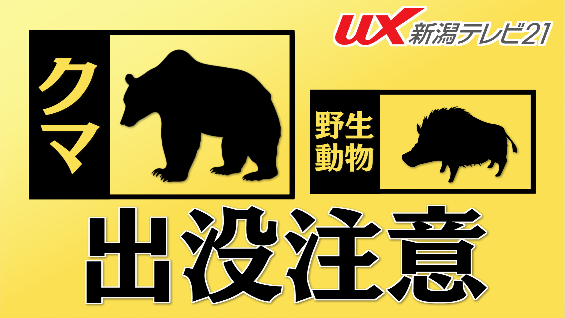 ゴミを出そうと向かったら･･･上越市名立区のバス停近くで体長約1mのクマ目撃【新潟･上越市】