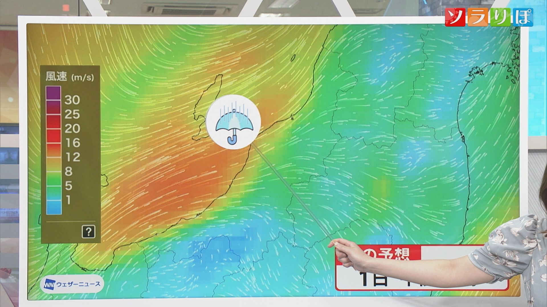 5月1日は春の風「メイストーム」に注意！雨脚強まり 横殴りの雨も【気象予報士が解説｜新潟】 2026年04月30日(木)