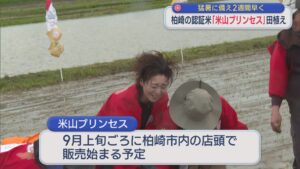 猛暑に備え2週間早く 30の農家が認証目指し「米山プリンセス」田植え始まる【新潟･柏崎市】 2026年05月01日(金)