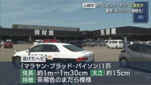 警察「見つけたら通報を」ホームセンターからヘビ脱走か【新潟･上越市】 2026年05月19日(火)