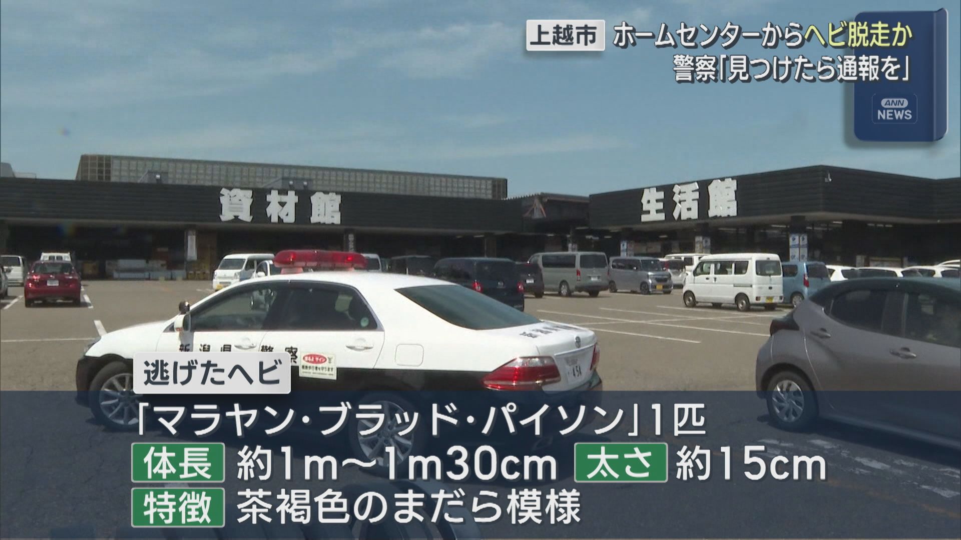 警察「見つけたら通報を」ホームセンターからヘビ脱走か【新潟･上越市】