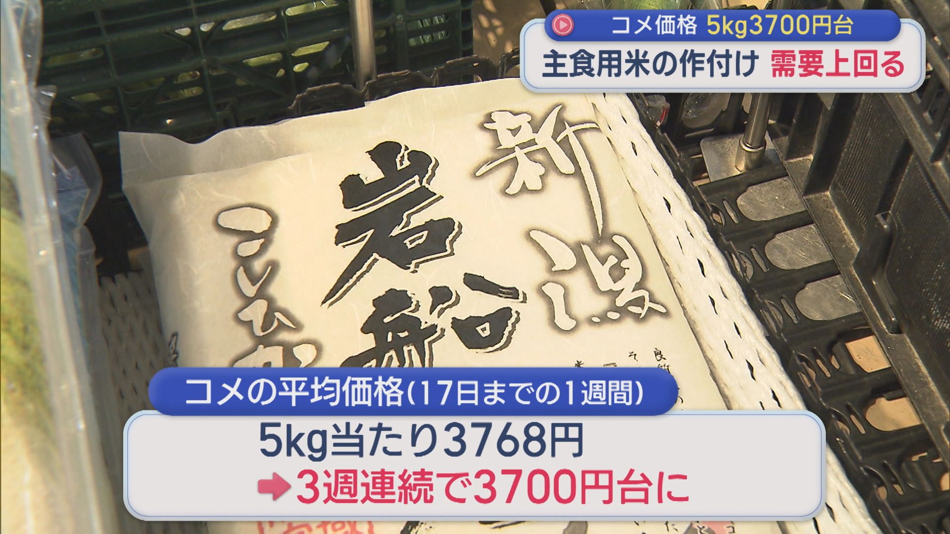 コメ価格3週連続で5kg3700円台「一番動きやすい価格帯」主食用の作付けが最大需要見通しを上回る【新潟】