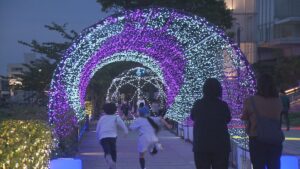 ハートやアーチなど！万代島エリアでライトアップ始まる【新潟】 2026年06月07日(日)
