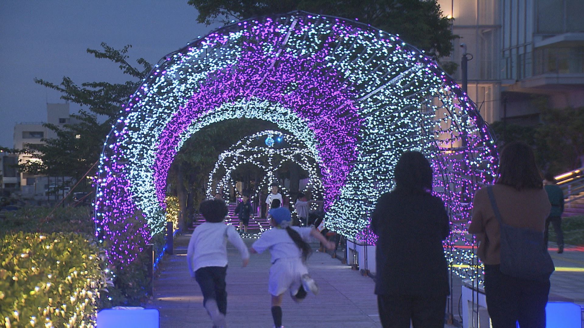 ハートやアーチなど！万代島エリアでライトアップ始まる【新潟】 2026年06月07日(日)