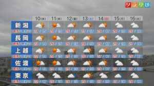 この先14日(日)までは晴れ間が広がる、真夏日に迫る暑さのところも【これからの天気(6月9日18時40分現在)｜新潟】 2026年06月09日(火)