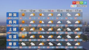 11日は各地夏日に、土日は各地で晴れて 真夏日に迫る暑さに【これからの天気(6月10日18時40分現在)｜新潟】 2026年06月10日(水)